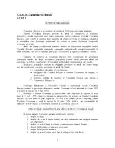 CEDO - garanții procedurale - Pagina 1