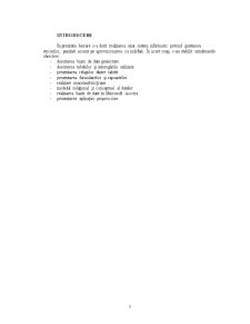 Analiza Sistemului de Gestiune a Stocurilor în Cadrul unei Baze de Date - Pagina 2
