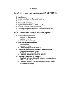 Asezarea, Fundamentarea și Realizarea Veniturilor Bugetare pe Exemplul SC Adytex SA - Pagina 2