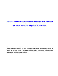 Analiza performanțelor întreprinderii SNP Petrom - Pagina 1