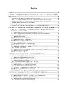 Analiza economico-financiară - elemente teoretice și aplicații practice - Pagina 2