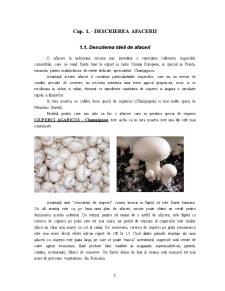 Ciupercărie - Pagina 3