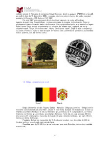 Marketing internațional - berea Stejar - Pagina 4