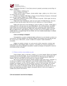 Marketing internațional - berea Stejar - Pagina 5