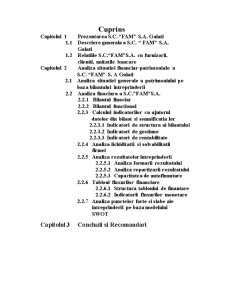 Analiză financiară la SC Fam SA Galați - Pagina 2