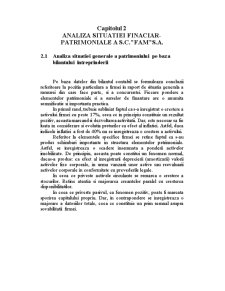 Analiză financiară la SC Fam SA Galați - Pagina 5