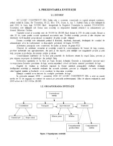 SC Logic Construct SRL Zalău - Pagina 2