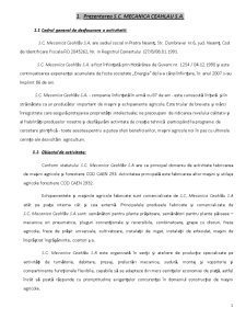 Analiza performanței financiare la SC Mecanica Ceahlău SA - Pagina 1