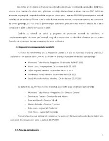 Analiza performanței financiare la SC Mecanica Ceahlău SA - Pagina 3