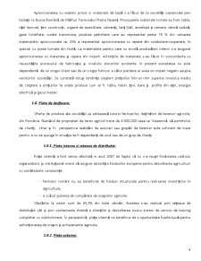 Analiza performanței financiare la SC Mecanica Ceahlău SA - Pagina 4