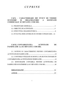 Monografie contabilă privind evidența la o societate de panificație și produse de patiserie SC Hevatex Com SRL - Pagina 3