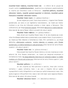 Rolul Musculaturii Membrelor Inferioare în Ortostatism - Pagina 3