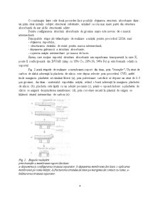 Procedeul LIGA - Pagina 4