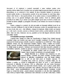 Strategia Ecoturistică a Județului Bihor - Pagina 4
