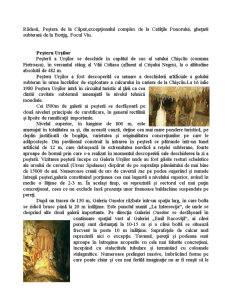 Strategia Ecoturistică a Județului Bihor - Pagina 5