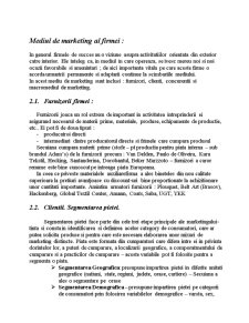 Analiza de Marketing la Nivelul Firmei SC Secuiana SA - Pagina 5