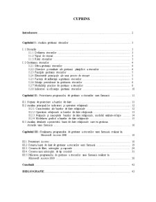 Proiectarea unui Sistem Informatic pentru Gestiunea Stocurilor - Pagina 1