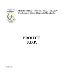 Proiect UDP - presă - Pagina 1