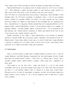 Stațiunea balneo-climaterică Băile Herculane - Pagina 4