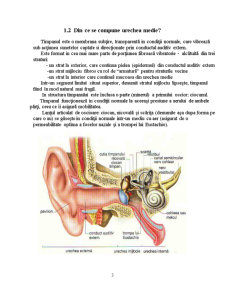 Urechea și Bolile Profesioanale Generate de Zgomot - Pagina 3