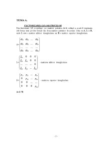 Aproximarea numerică a funcțiilor - factorizarea matricelor - Pagina 2