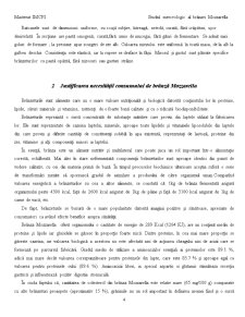 Studiul Merceologic al Brânzei Mozzarella - Pagina 4