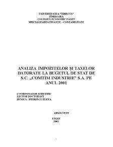 Analiza impozitelor și taxelor datorate la bugetul de stat de SC Comtim Industrie SA pe anul 2001 - Pagina 2