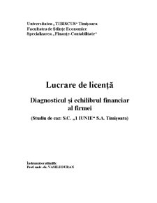 Diagnosticul și Echilibrul Financiar SC 1 Iunie SA - Pagina 1