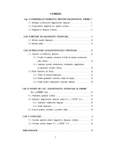 Diagnosticul și Echilibrul Financiar SC 1 Iunie SA - Pagina 2