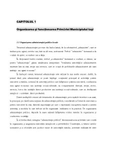 Organizarea și conducerea gestiunii financiar bugetare la Primăria Iași - Pagina 3