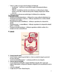 Maladiile Sistemului Cardio - Vascular - Pagina 4