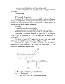 Rețele de Comunicații - Pagina 39