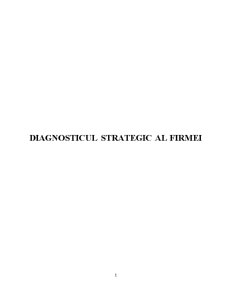 Diagnosticul Strategic al Firmei - Pagina 1