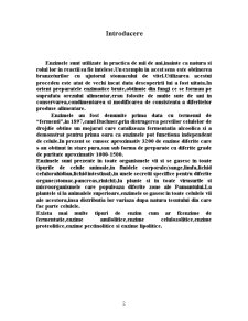 Enzimologie - Tirozinaza - Pagina 2