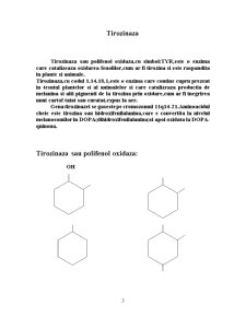 Enzimologie - Tirozinaza - Pagina 3