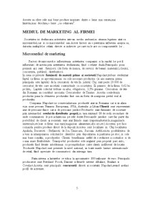 Cercetare de marketing privind gama de produse Napolact - Pagina 5