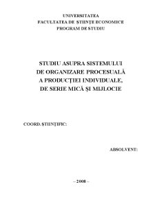 Studiu Asupra Sistemului de Organizare Procesuală a Producției Individuale de Serie Mică și Mijlocie - Pagina 4
