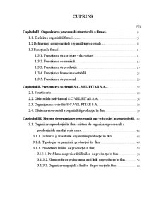 Studiu Asupra Sistemului de Organizare Procesuală a Producției Individuale de Serie Mică și Mijlocie - Pagina 5