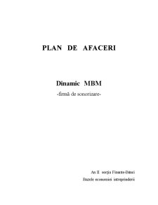 Plan de Afaceri - Firma Sonoizari - Pagina 1