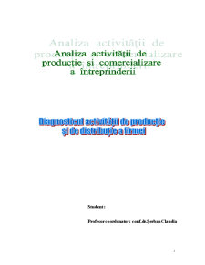 Diagnosticul activității de producție și de distribuție a firmei - Pagina 1