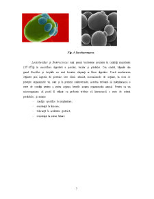 Probiotice - Pagina 3