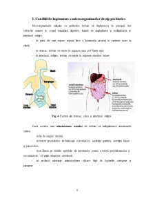 Probiotice - Pagina 4