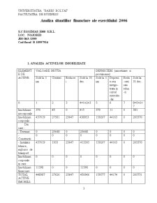 Analiza performanțelor financiare ale SC Eggimas 2000 SRL - Pagina 3
