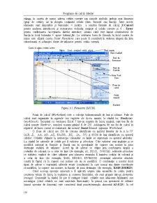 Excel - Programe de Calcul Tabelar - Pagina 2