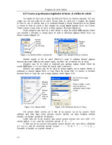 Excel - Programe de Calcul Tabelar - Pagina 4