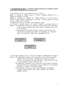 Organizarea structurală a întreprinderii - Pagina 3