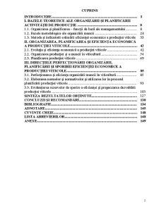 Organizarea și Planificarea Producției Viticole - Pagina 1