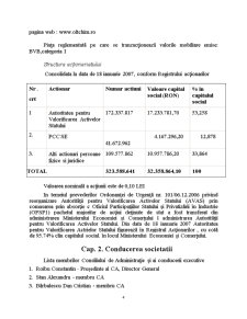 Analiză economico-financiară Oltchim Râmnicu Vâlcea - Pagina 2