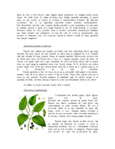 Controlul calității piperului - Pagina 3