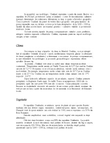 Masivul Ceahlău - Pagina 5